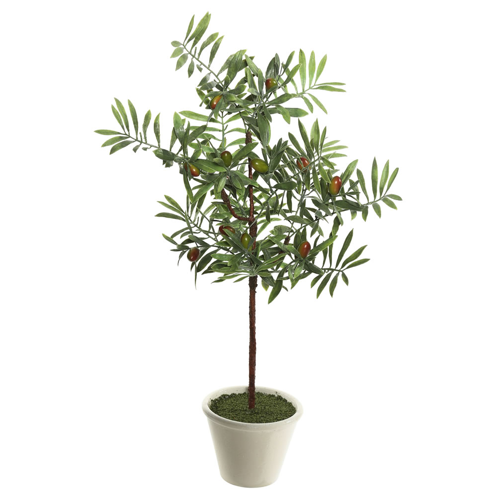 27 in. Olive Hill Tree with Container