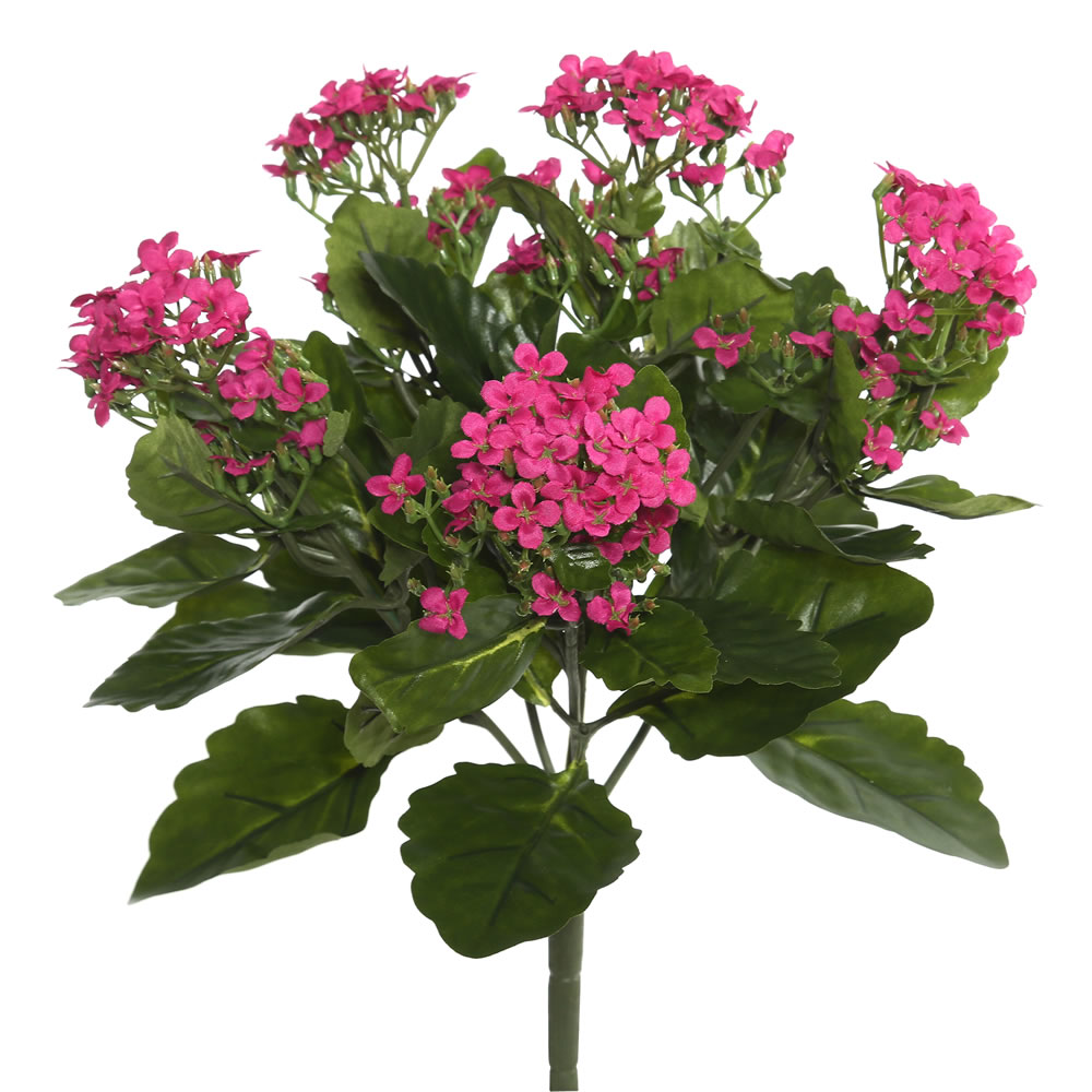 Picture of Vickerman FL170104 17.25 in. Kalanchoe Bush, Hot Pink