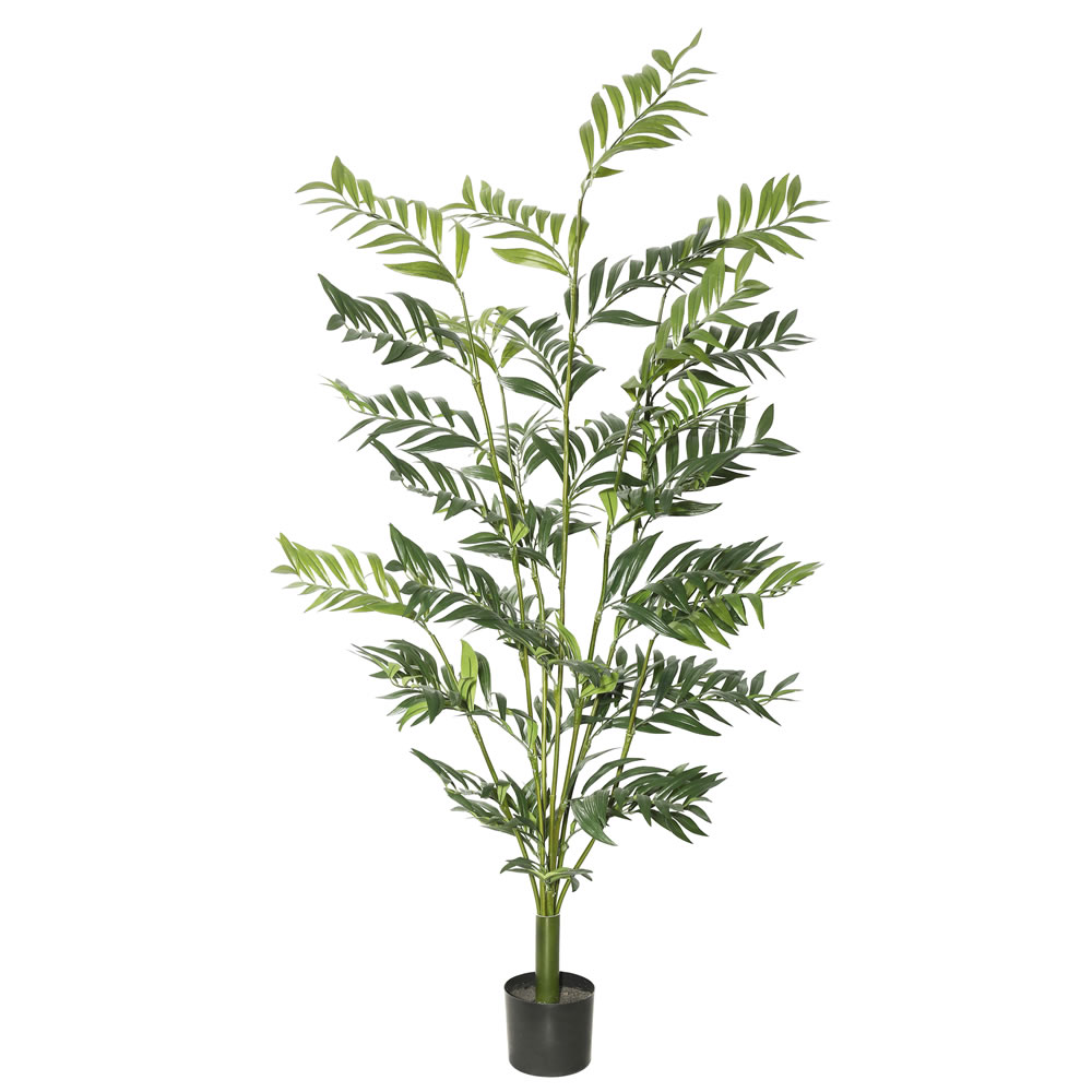 Picture of Vickerman TB170060 5 in. Robellini Palm Leaves - Green