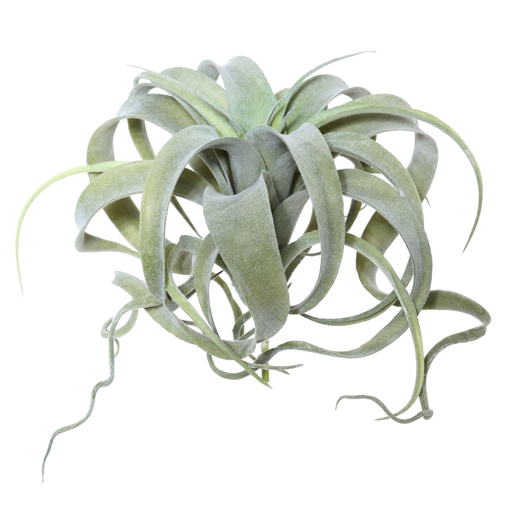 Picture of Vickerman FE172301 10.5 in. Green Tillandsia Pick