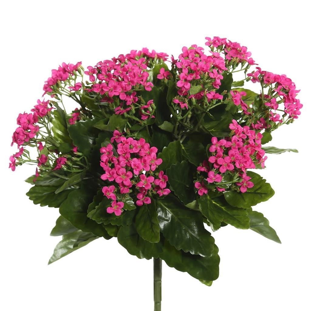 Picture of Vickerman FL170204 15.5 in.Hot Pink Kalanchoe Bush
