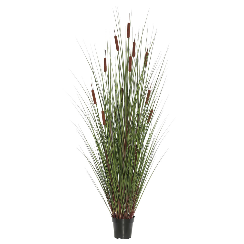 60 in. Grass with 12 Cattails Potted