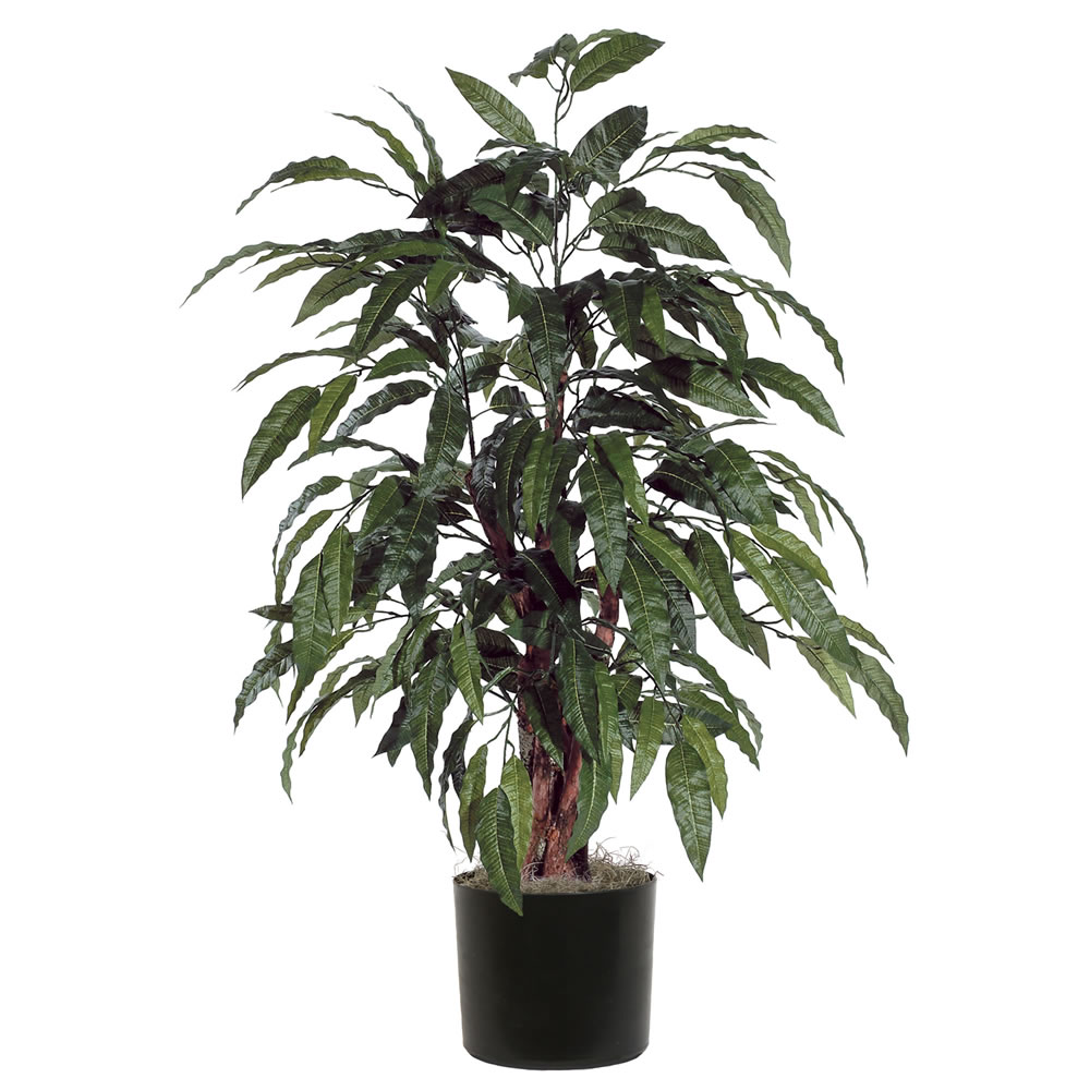 4 ft. Mango Bush - Green