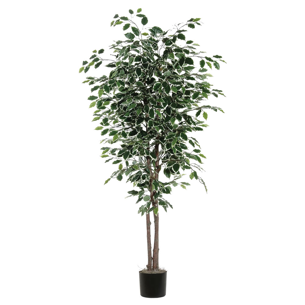 VICKERMAN