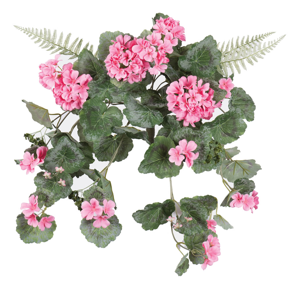 22 in. Geranium Hanging Bush - Coral