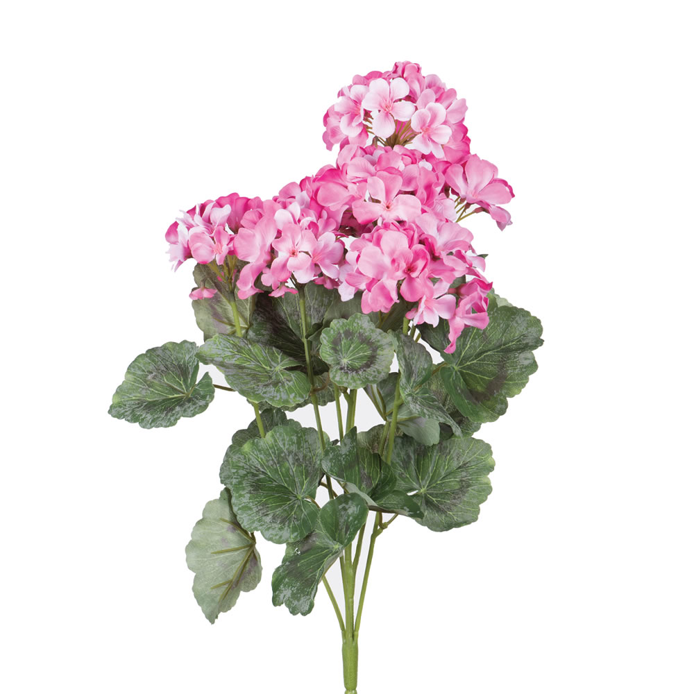 19.5 in. Geranium Bush - Coral