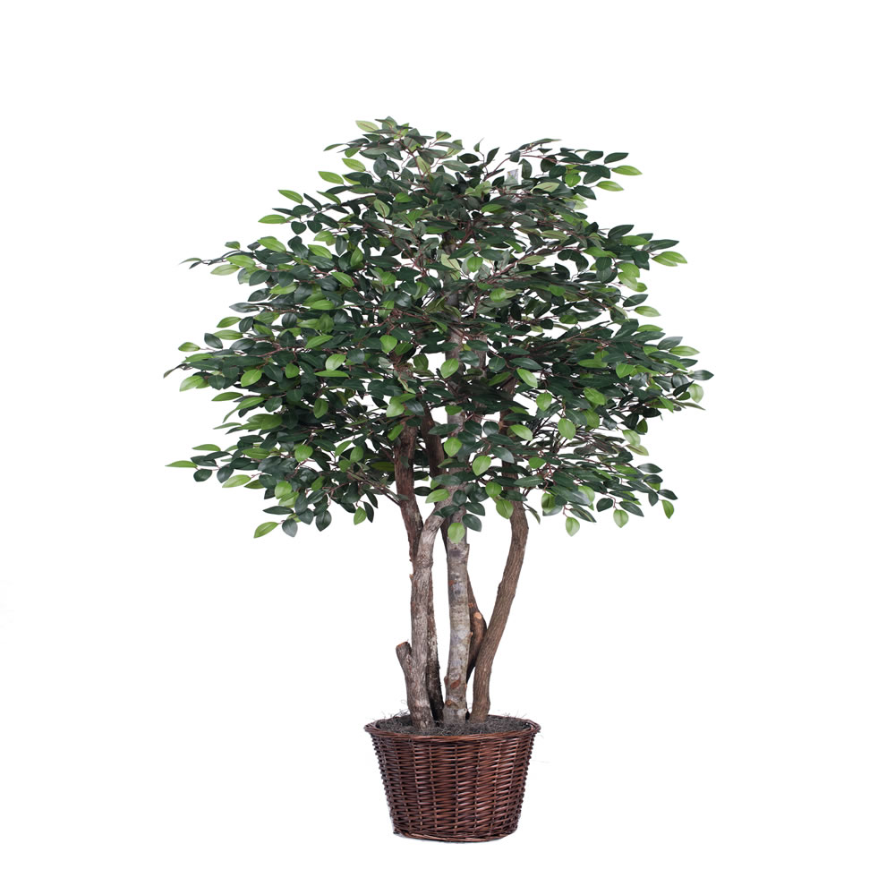 6 ft. Mini Ficus Executive Silk Tree - Green