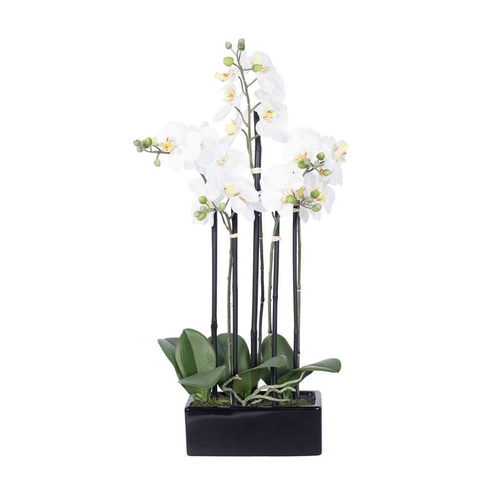 21 in. Potted Orchid x 5-White with Ceramic Container
