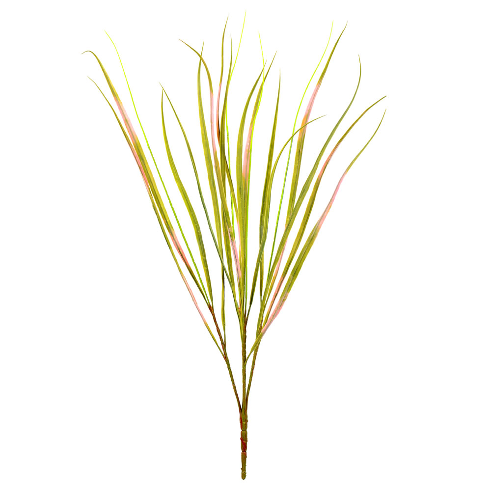 FK180801 29 in. Green Dracena Marginata Bush