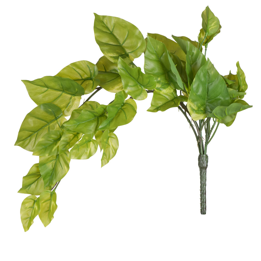 24 in. Green Pothos Bush Vine