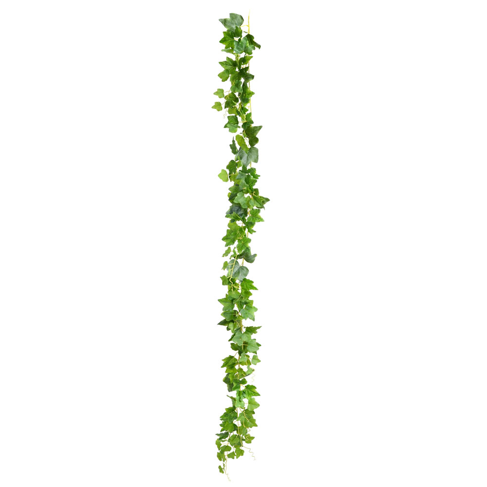 Picture of Vickerman FA188801 71 in. RT 142 Green Frosted Ivory Vine with Leaves 