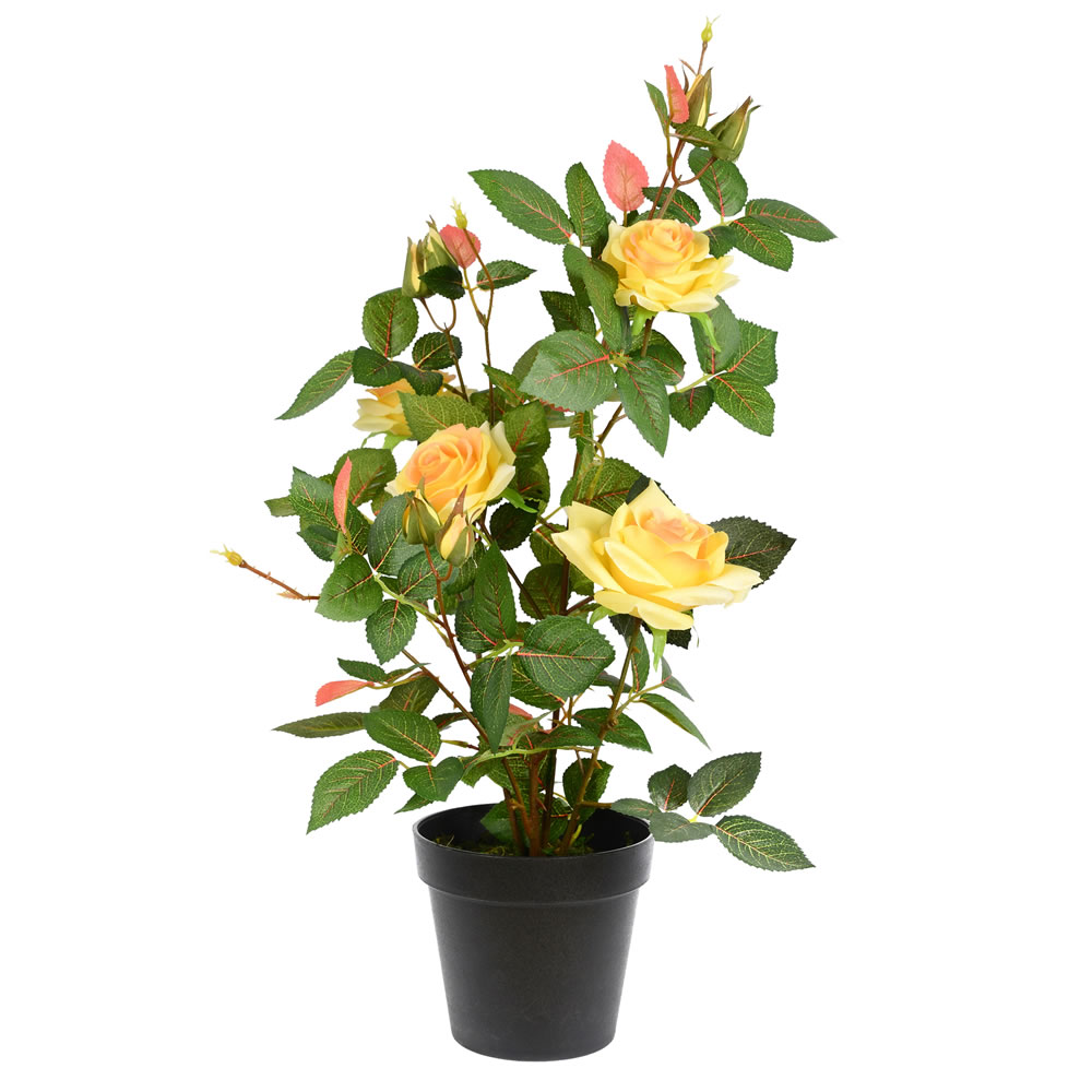 Picture of Vickerman TA181701 21 in. Yellow Rose Plant in Pot