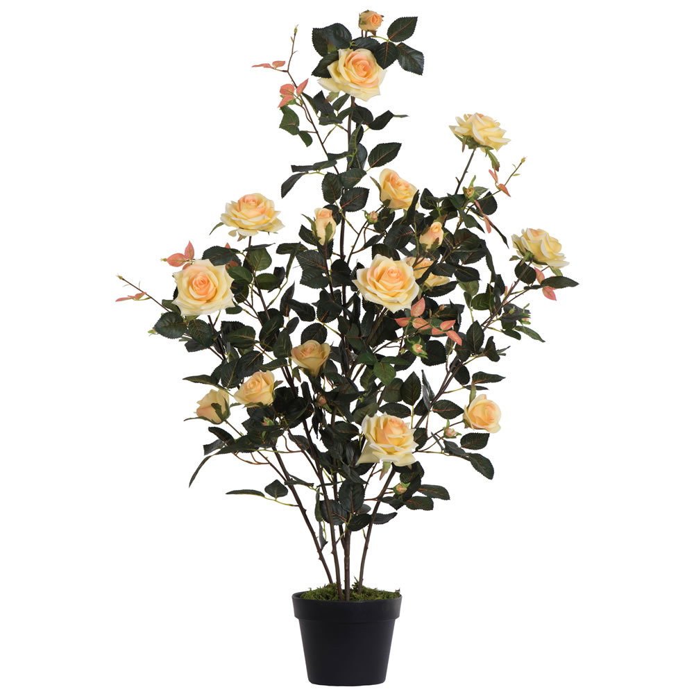45 in. Yellow Rose Plant in Pot