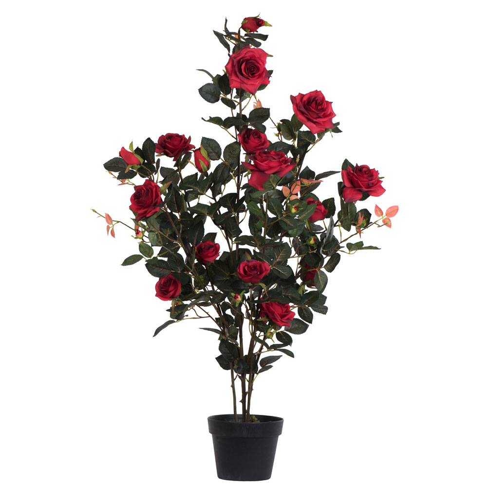 45 in. Red Rose Plant in Pot