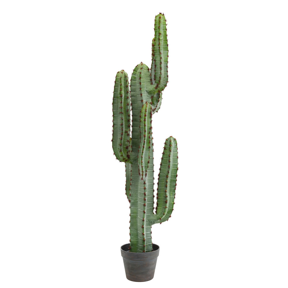 45 in. Green Aloe Plant in Gray & Light Red Pot