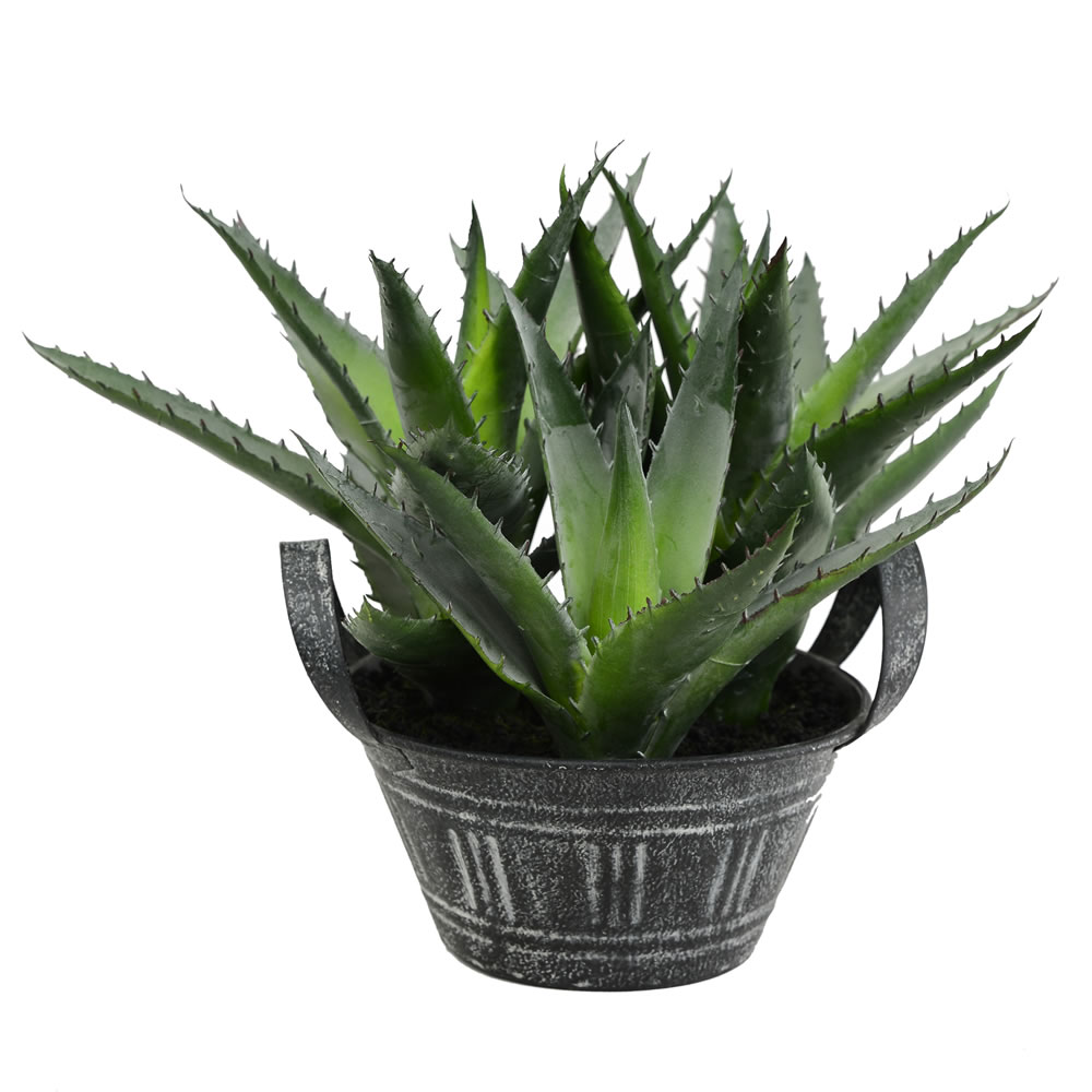 7.5 in. Green Succulent in Galvanized Pot