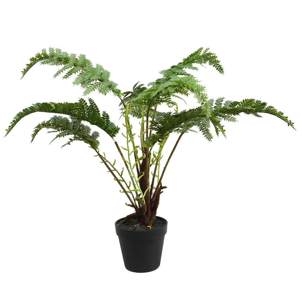 20 in. Green Fern in Round Black Pot