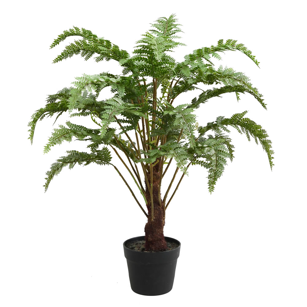 30 in. Green Fern in Round Black Pot