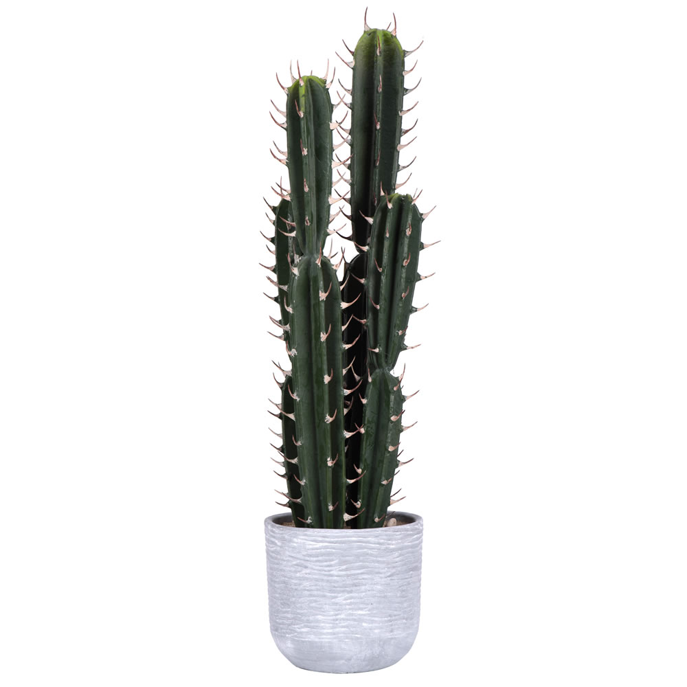 27.5 in. Green Aloe in Concrete Pot