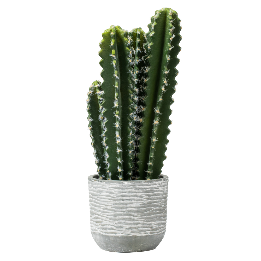 FH181201 17 in. Green Aloe in Concrete Pot