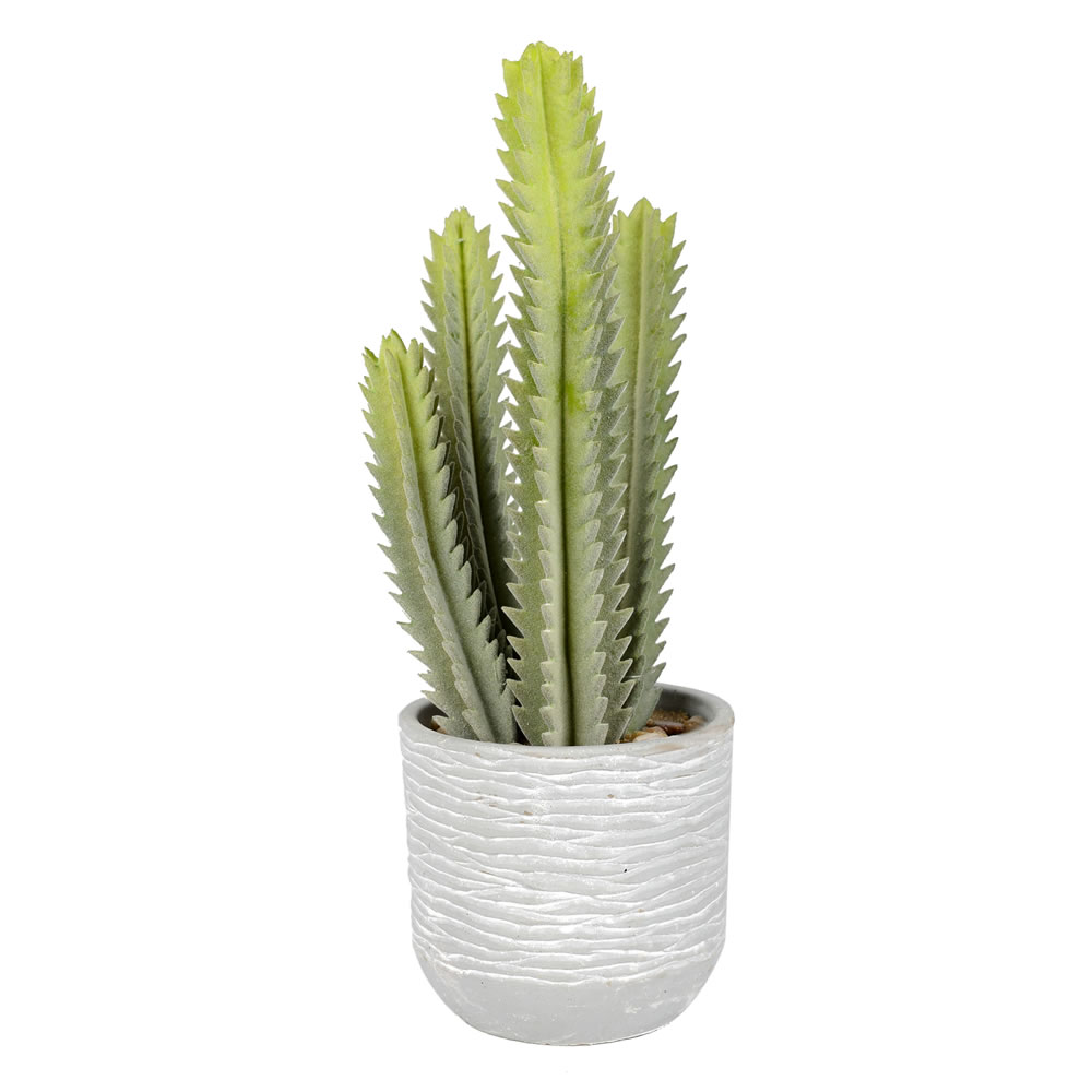 39 in. Green Aloe in Concrete Pot