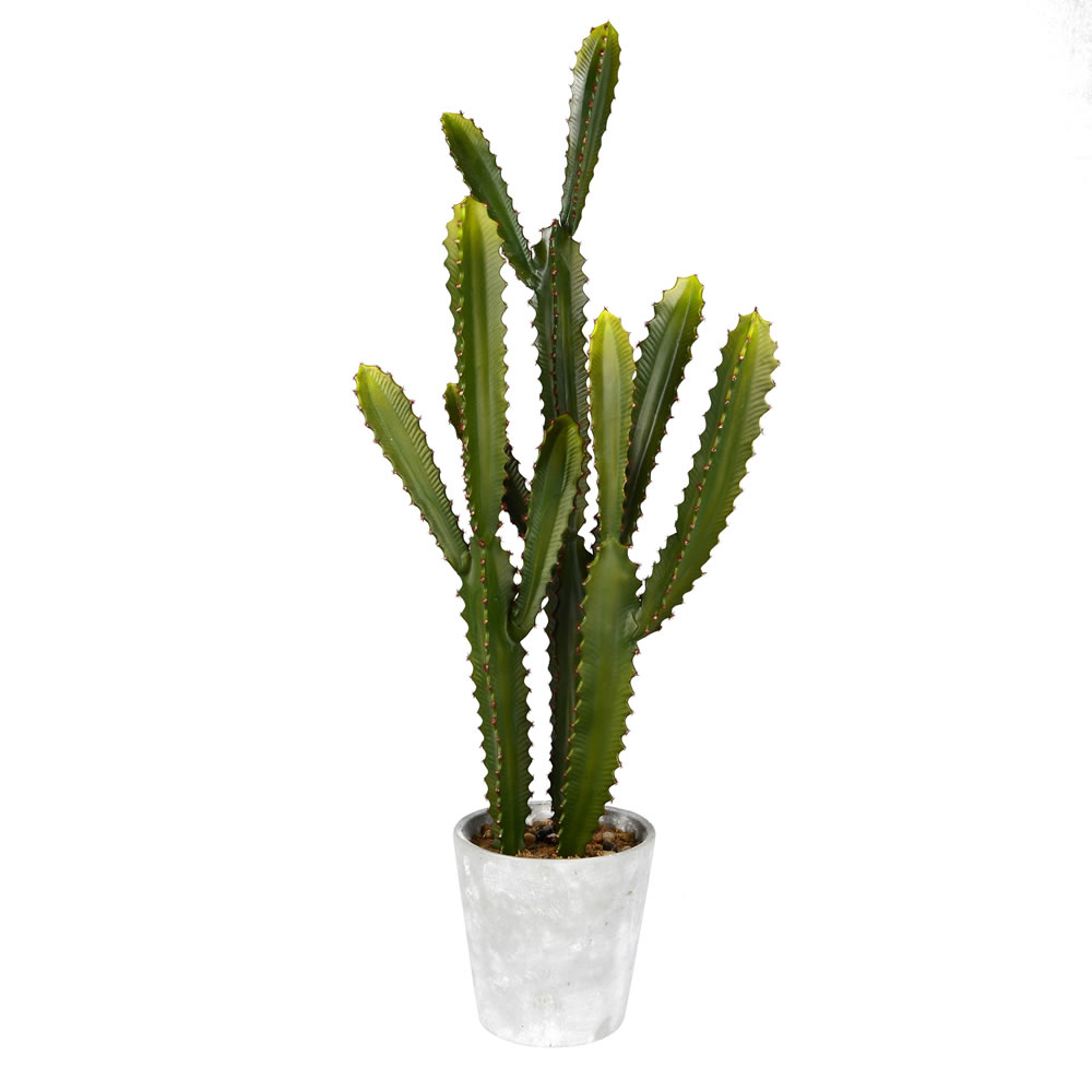29 in. Green Potted Aloe in Concrete Pot