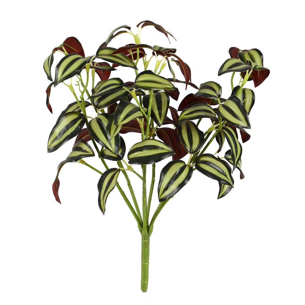 12.5 in. Green Wandering Jew Bush