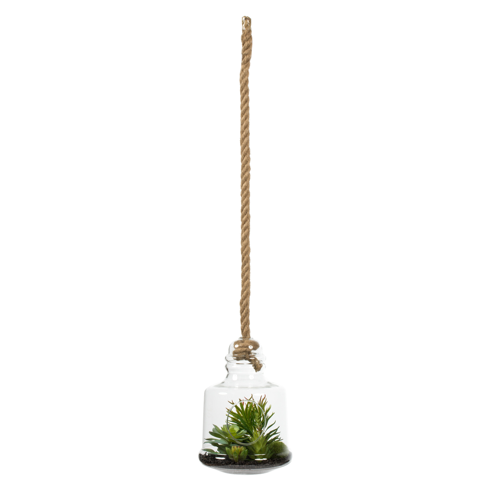 10 in. Green Assorted Succulents in Glass Jar