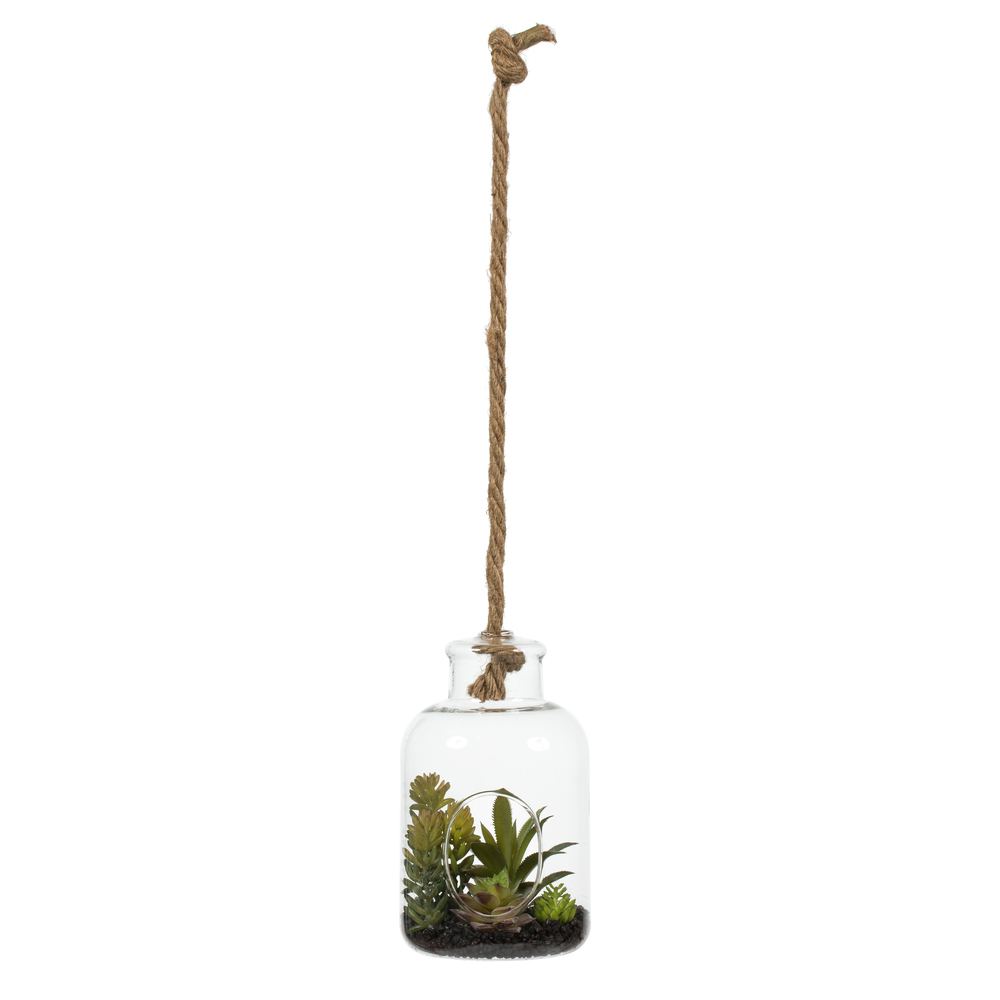 9 in. Green Assorted Succulents in Glass Jar