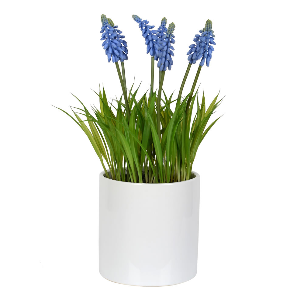 13.5 in. Hyacinth Flower in Ceramic Pot