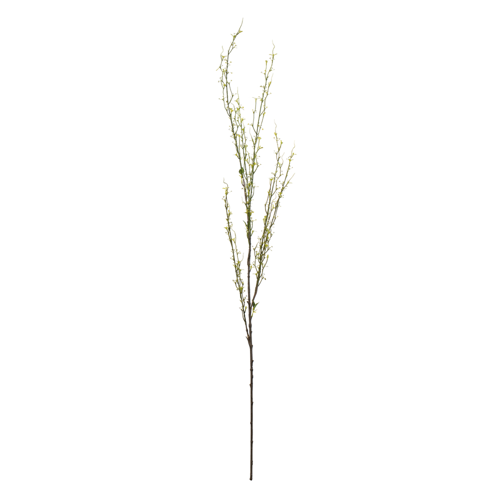 FM180101 50 in. Green Mountain Prunus Stem