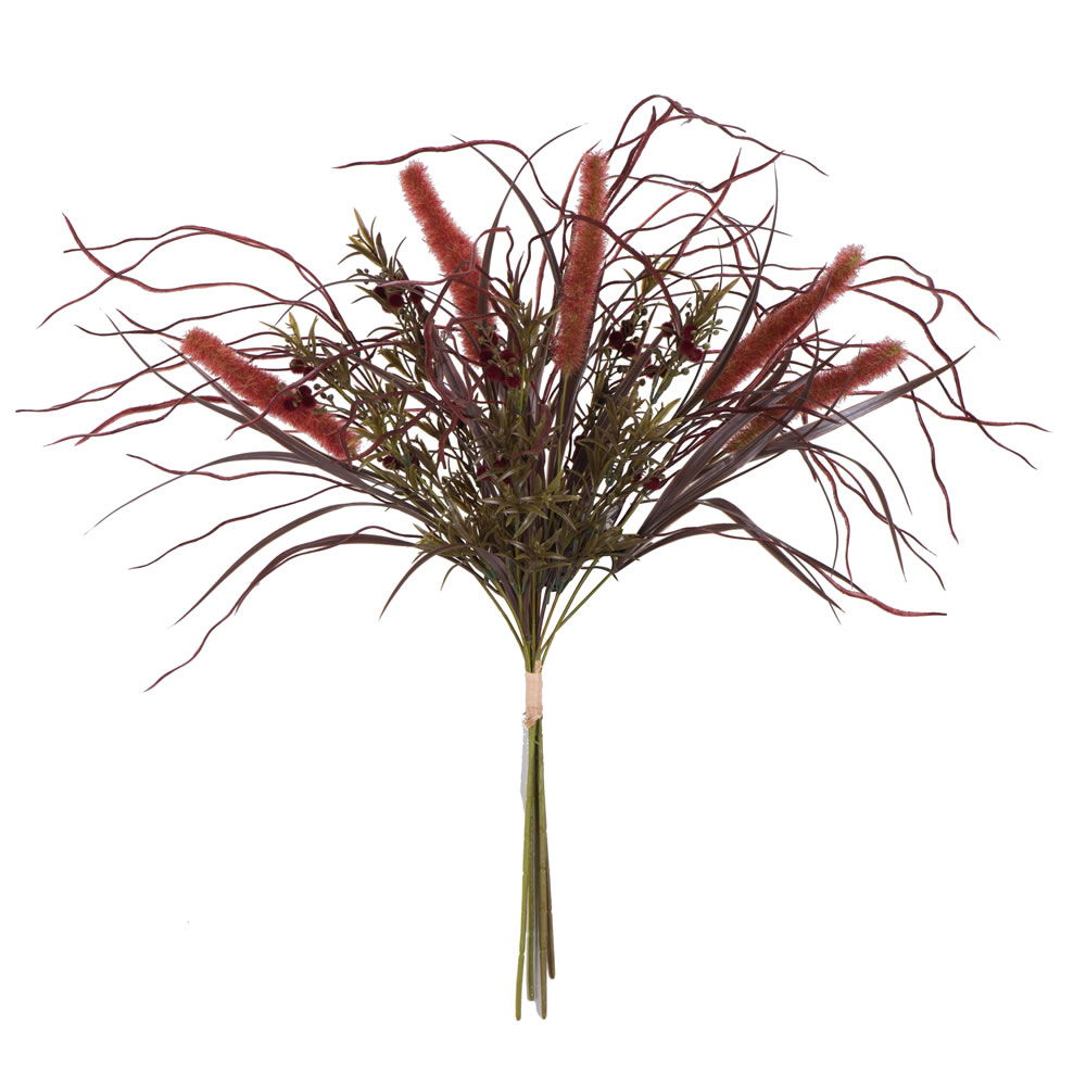 27 in. Burgundy Euphoria Onion Grass Bush