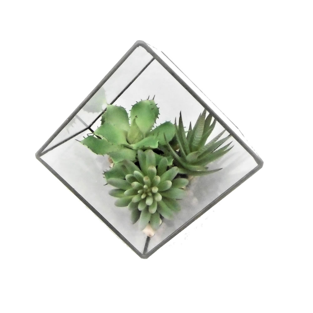 7.5 in. Green Succulents in Geo Terrarium