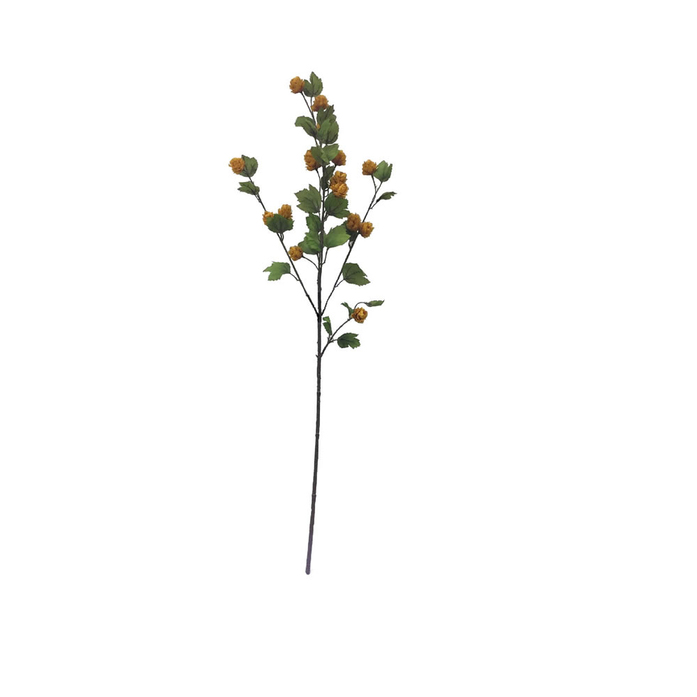39 in. Mustard Hop Branch Spray