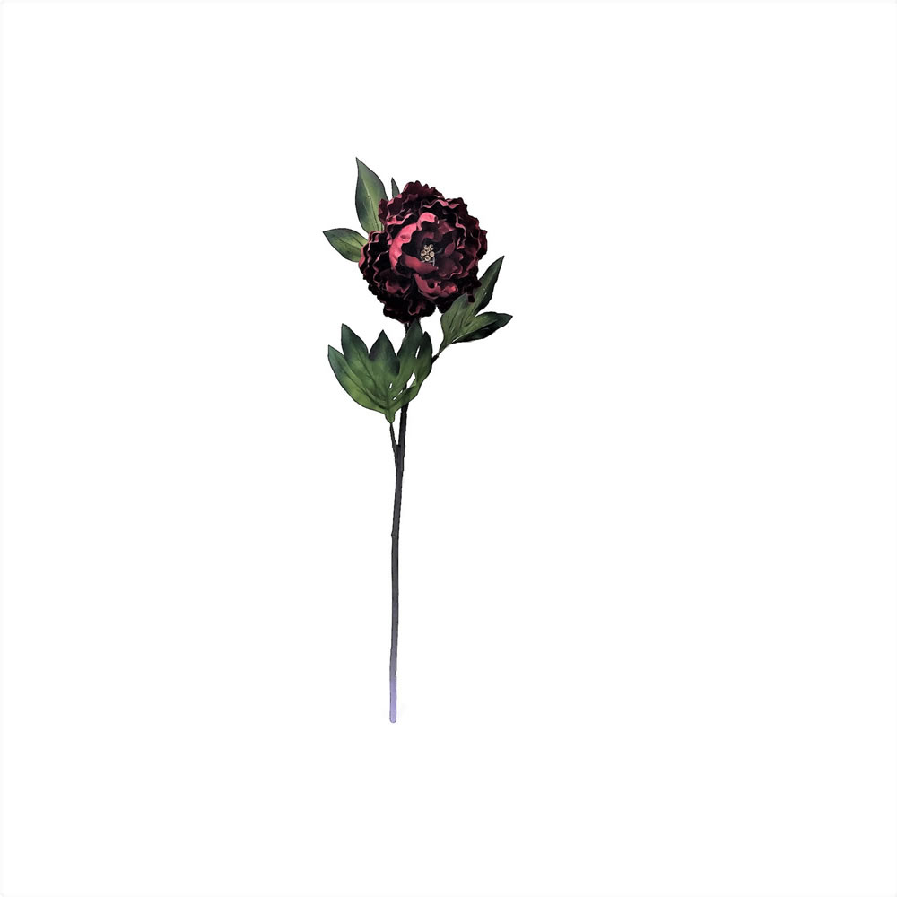 FM181802 25 in. Red & Brown Peony Stem