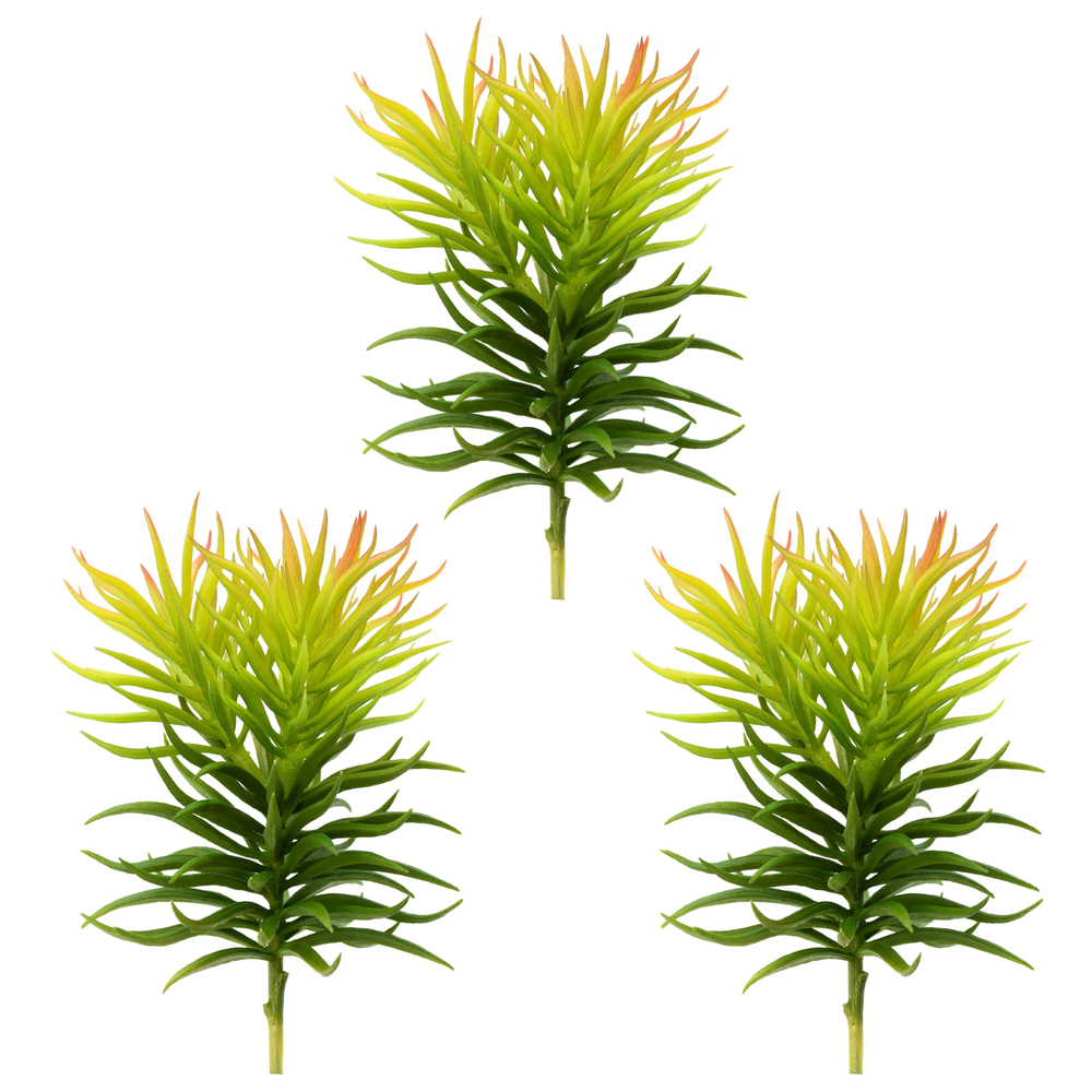 8 in. Green Crassula Tetragona Pick