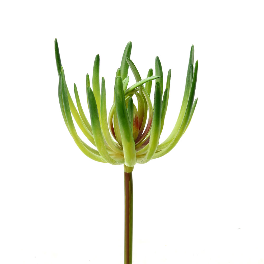 6.75 in. Green Jade Pick