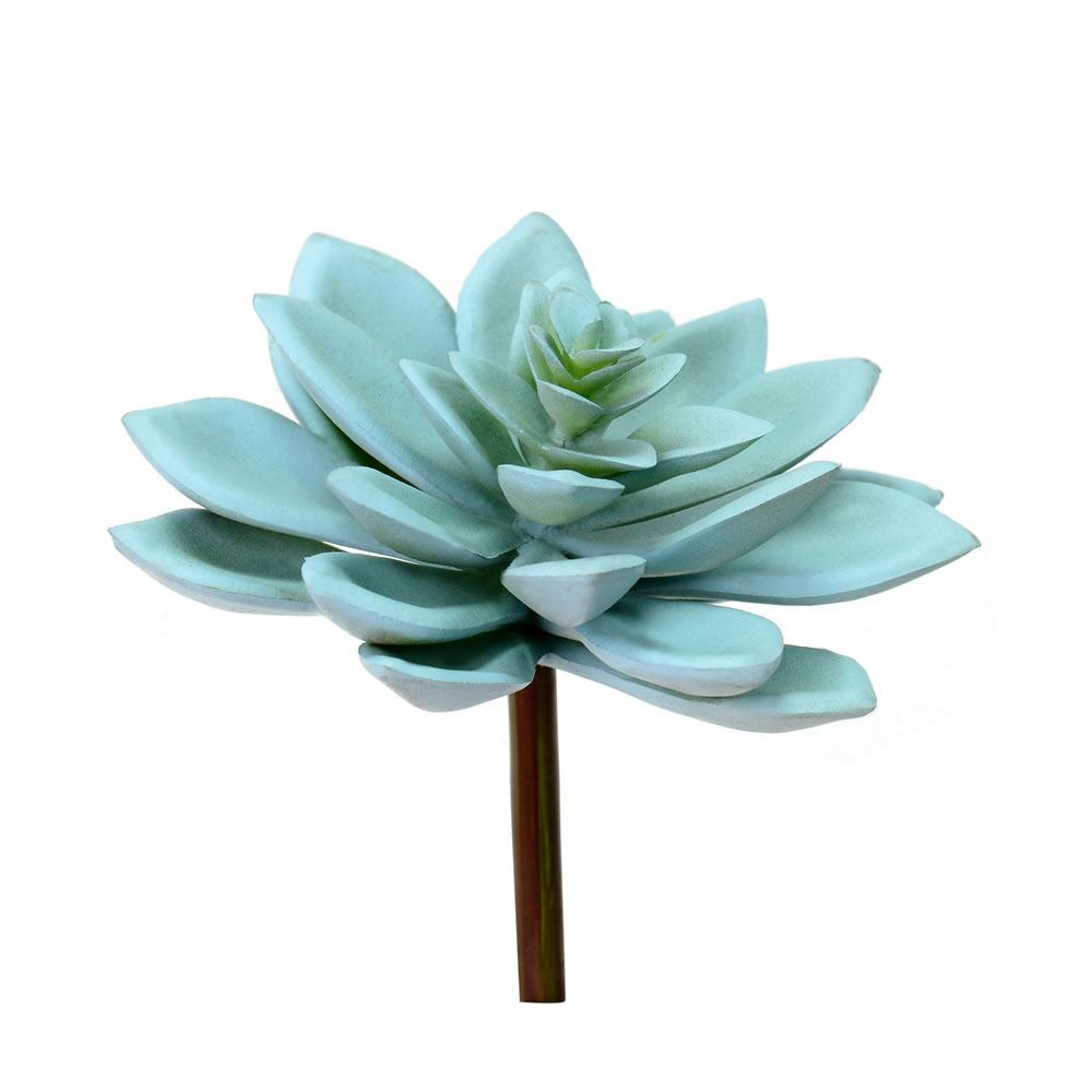 4.5 in. Green Graptoveria Titubans Pick