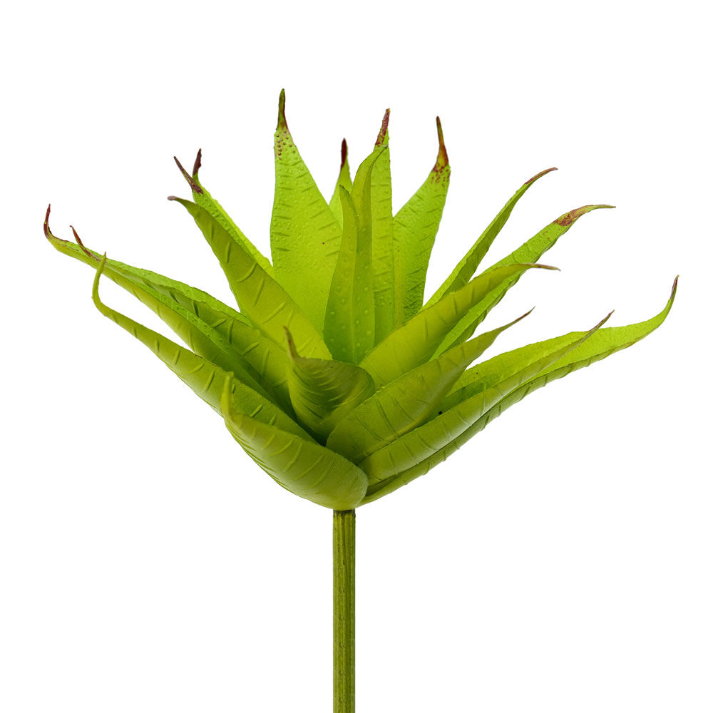 6 in. Green Aloe Pick