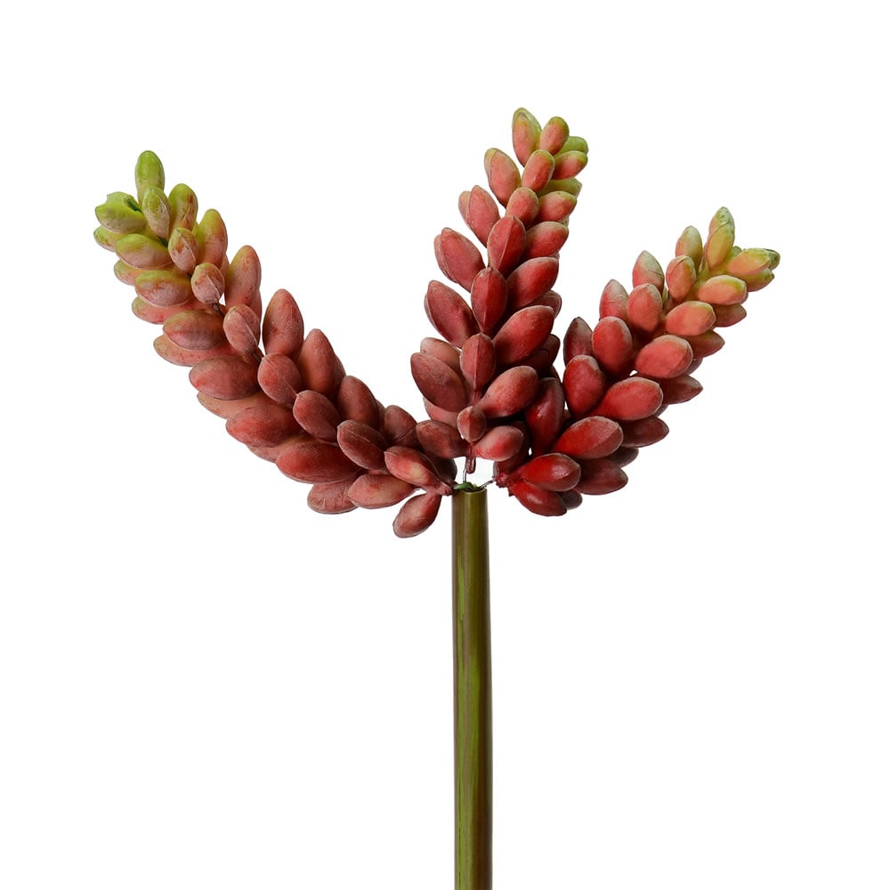 6 in. Red Jelly Bean Pick