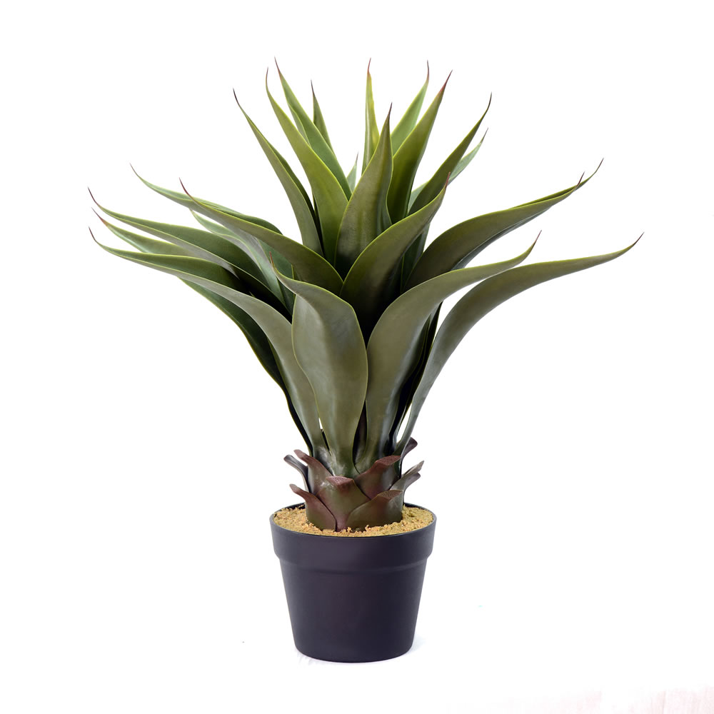 22 in. Green Potted Aloe Vera Pot