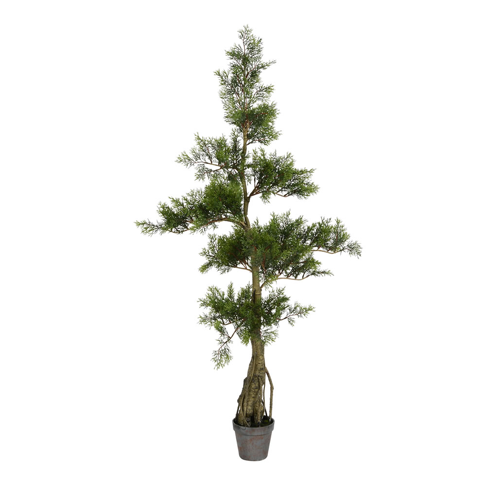 4 ft. Potted Cedar Tree 208-Leaves