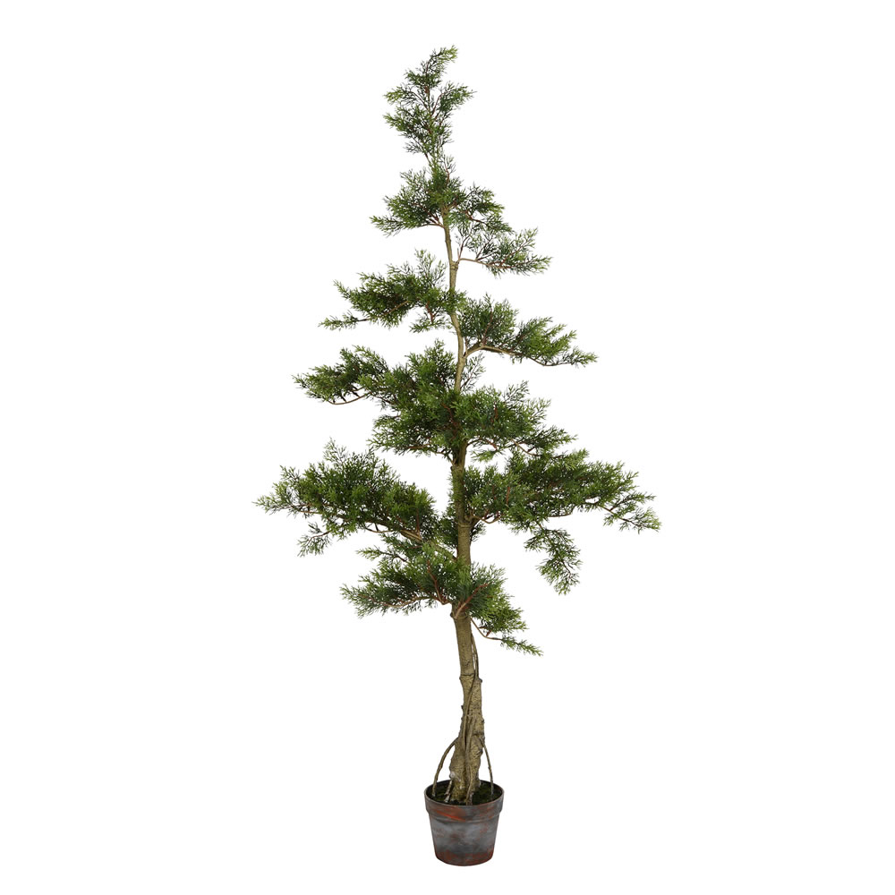 5 ft. Potted Cedar Tree 323-Leaves
