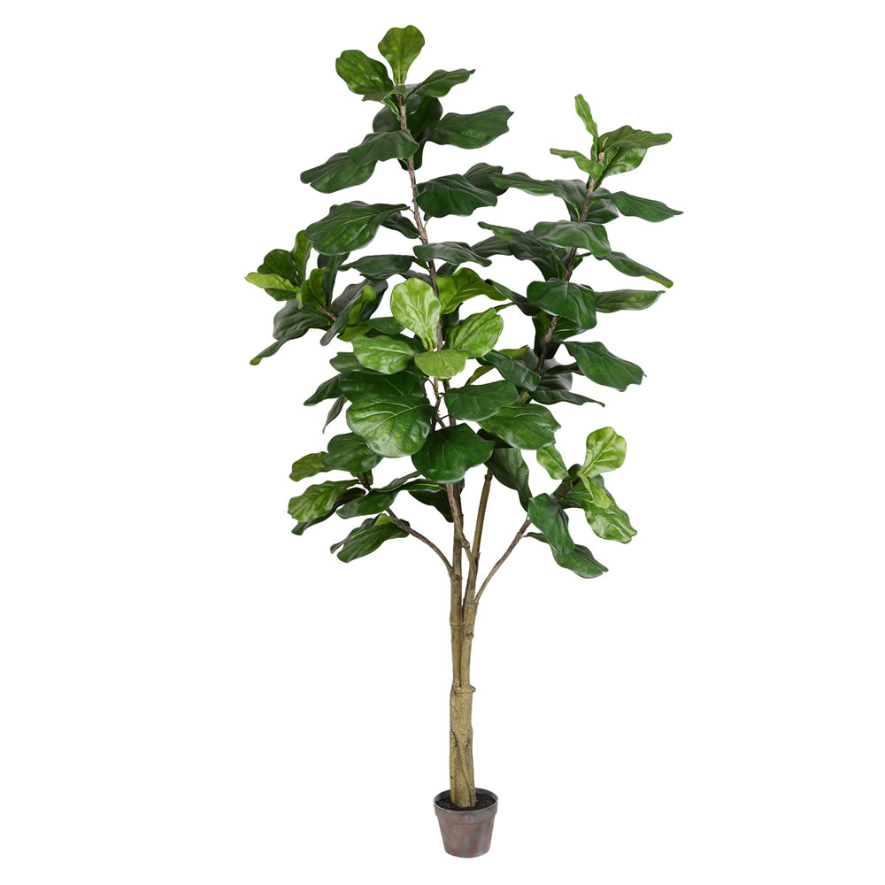 7 ft. Potted Fiddle Tree 89-Leaves