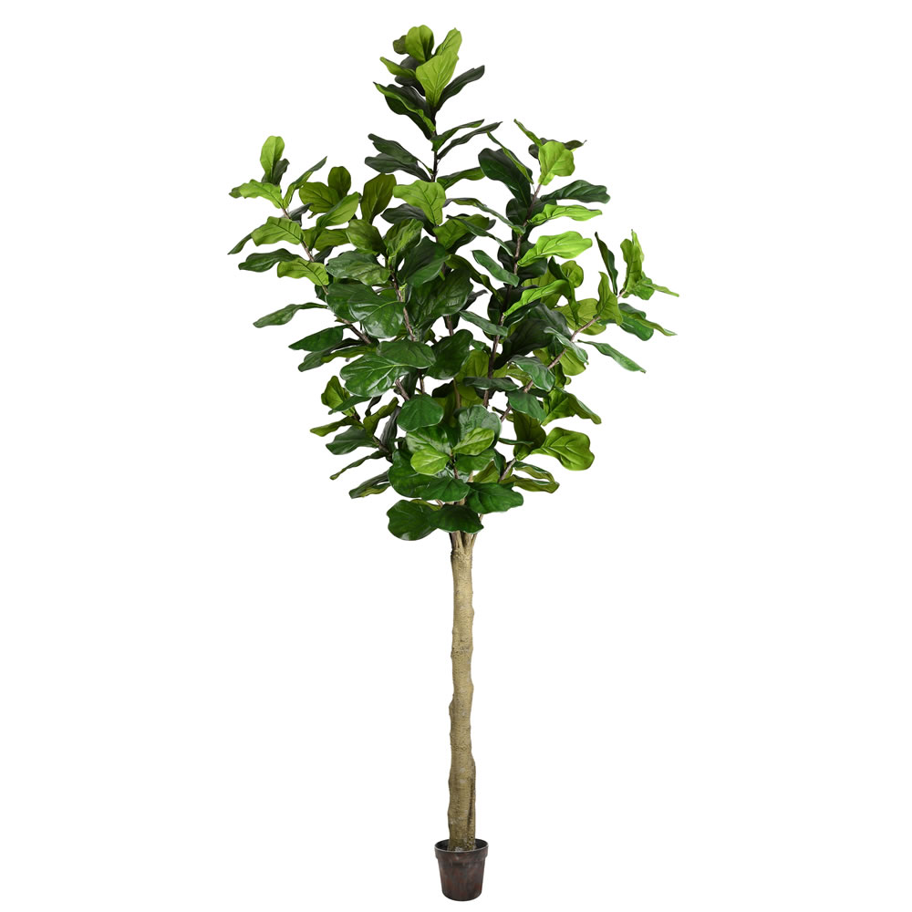 10 ft. Potted Fiddle Tree 184-Leaves