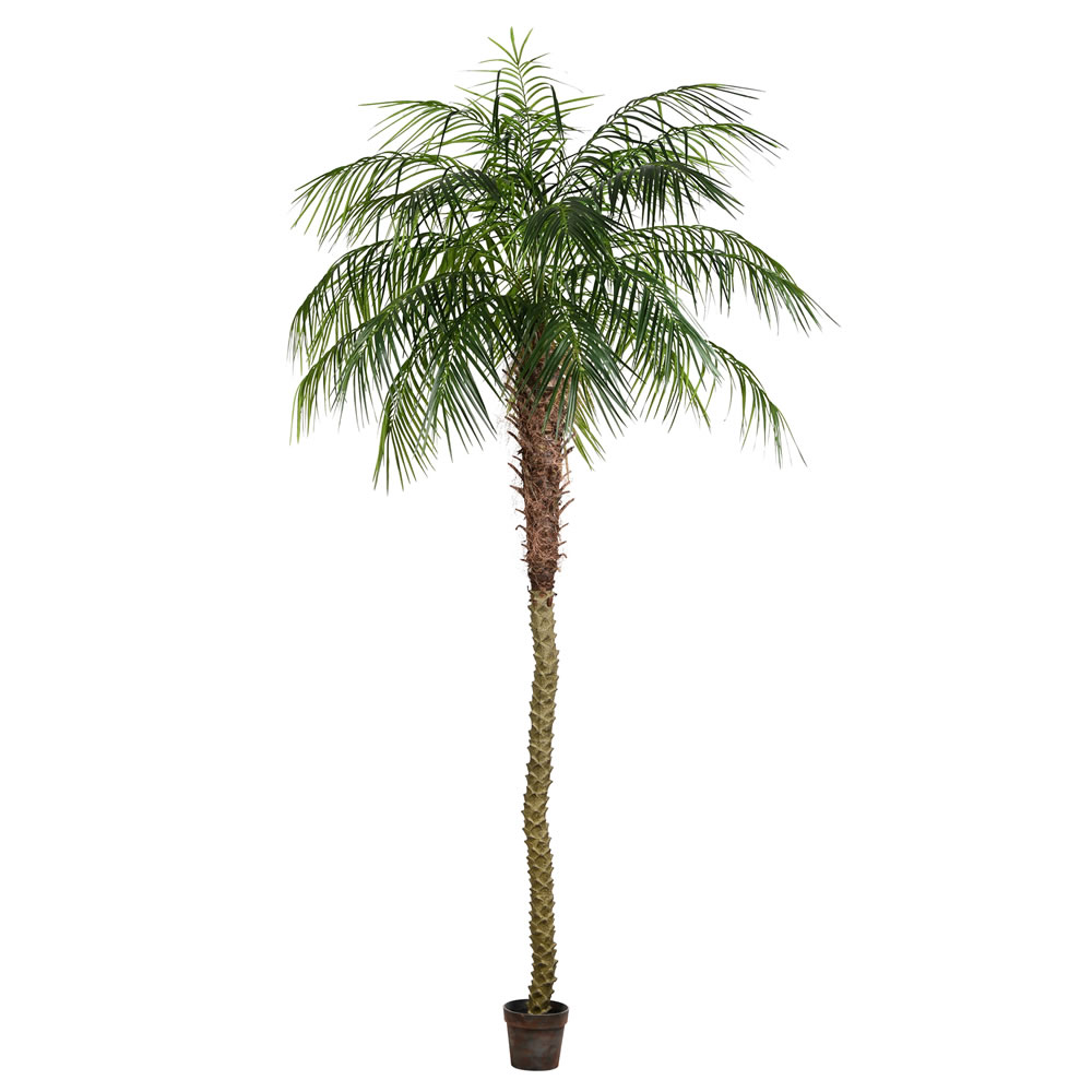 9 ft. Potted Pheonix Palm Tree 1144-Leaves
