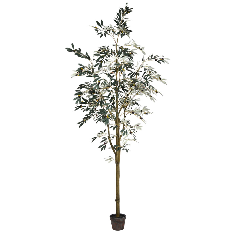 8 ft. Potted Olive Tree 1449-Leaves
