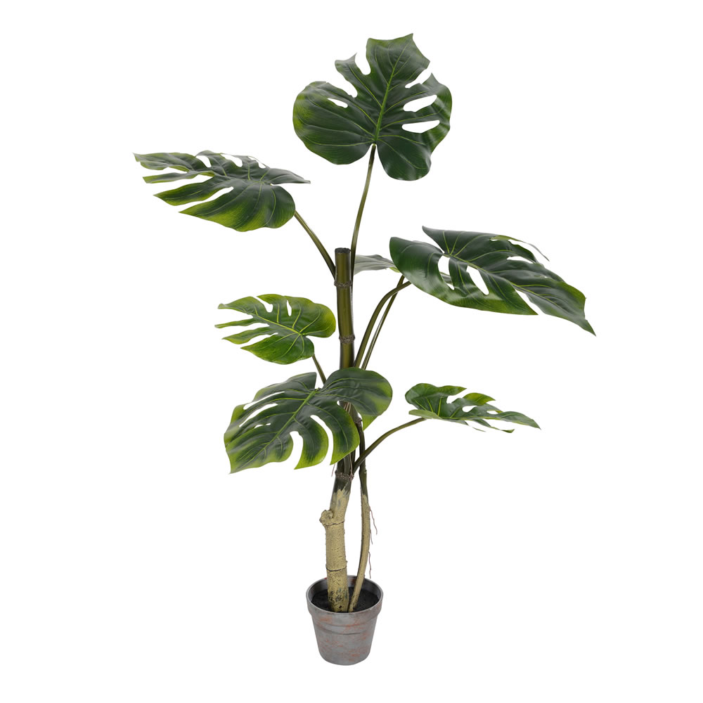 38 in. Potted Grand Split Philo Tree 7-Leaves