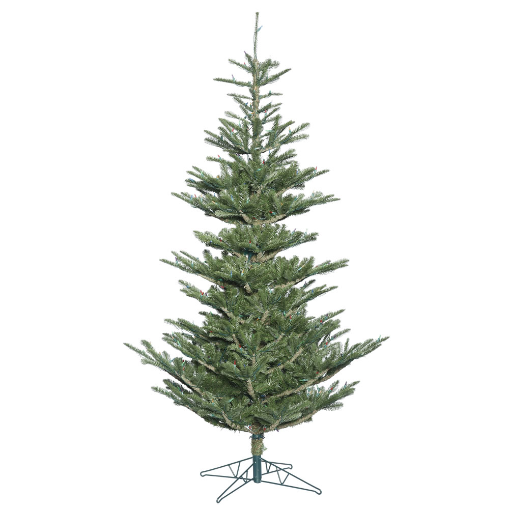 G160290 12 ft. x 80 in. Alberta Spruce Artificial Christmas Tree Unlit with 3110 Tip Count