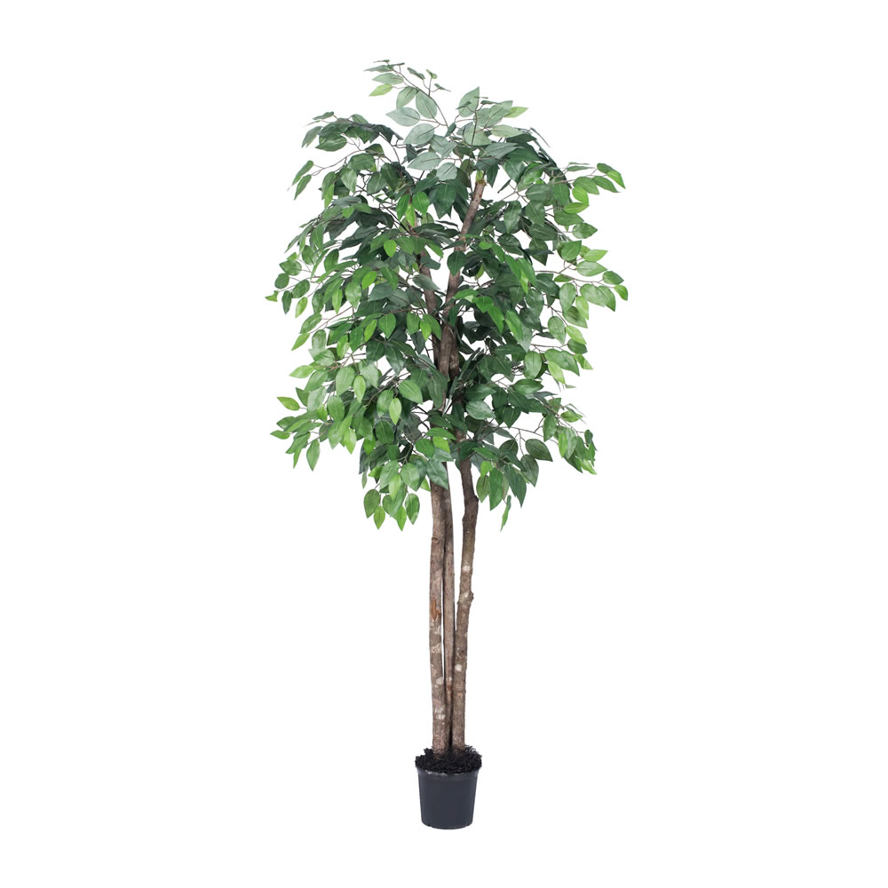 6 ft. Artificial Green Ficus Deluxe Tree